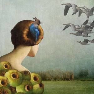 Meet your Posher, Ella